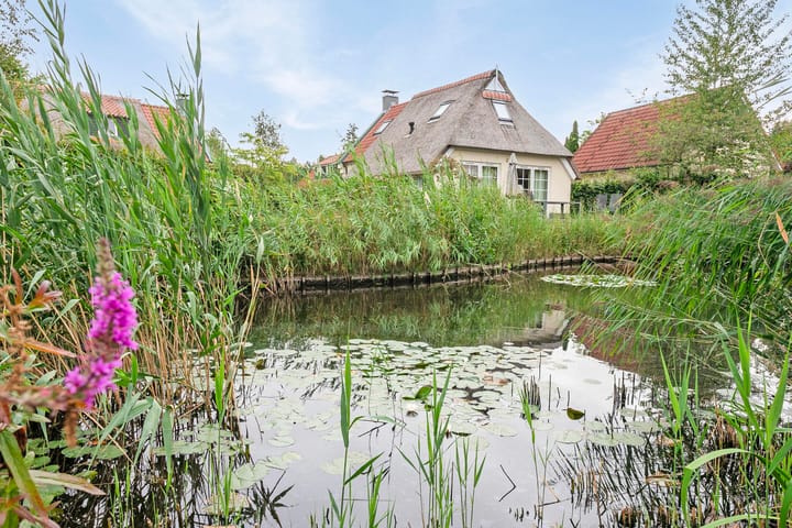 Photo 31 of Midden Peelweg 5-236