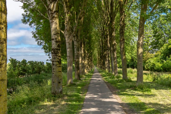 Foto 26 van Boveneind NZ