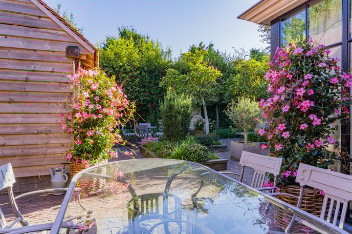 Foto 44 van Broerelaan 13