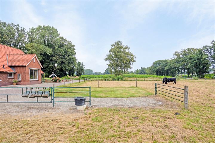 Bekijk foto 10 van Boswinkelsweg 8