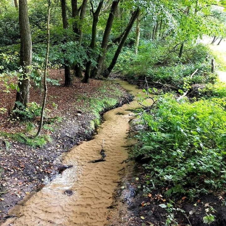 Foto 27 van Wittebergweg 18-C26