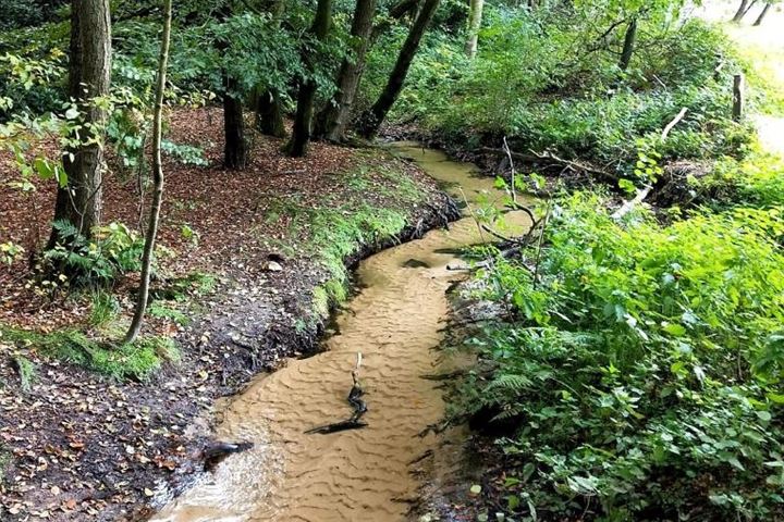 Bekijk foto 27 van Wittebergweg 18-C26