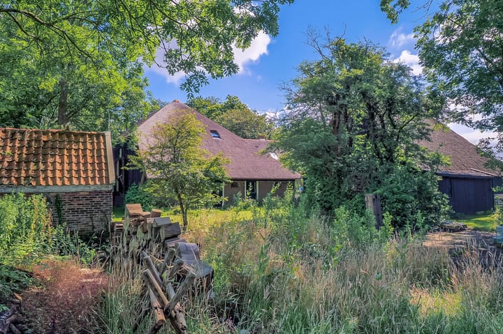 Foto 5 van Noorderlaan 1