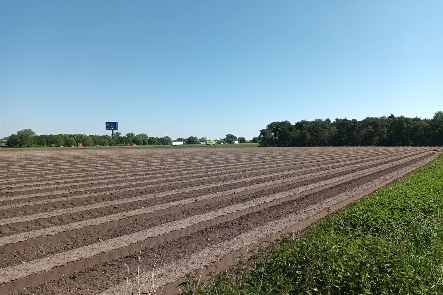 Bekijk foto 3 van Struiken