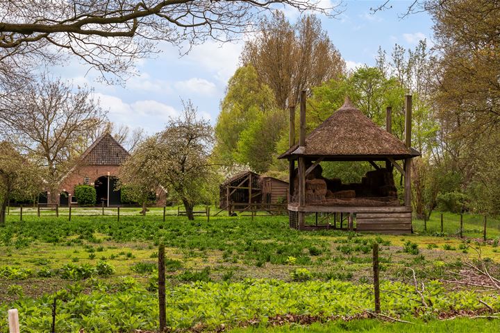 Bekijk foto 3 van Holskampweg 3