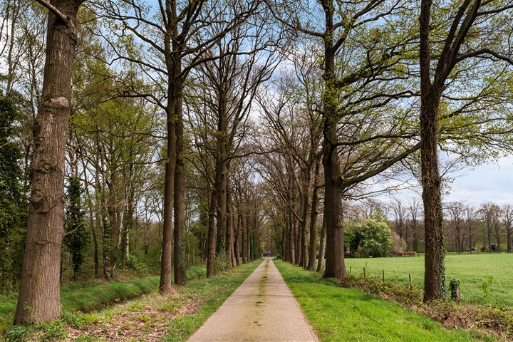 Bekijk foto 42 van Holskampweg 3