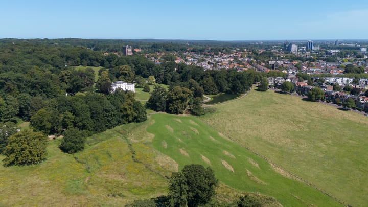 Foto 67 van Sweerts de Landasstraat 51