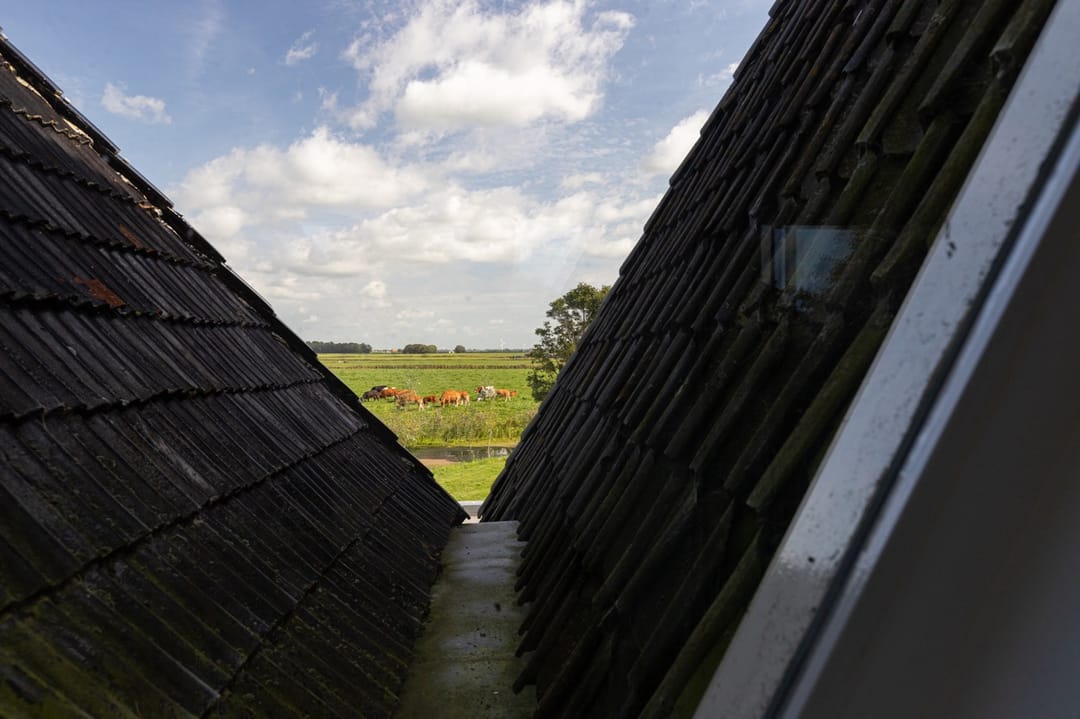 Photo 86 of Boerestreek 1