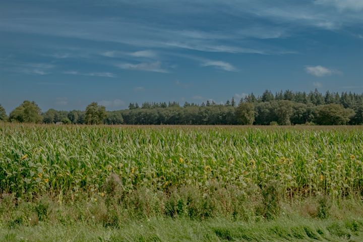 Bekijk foto 7 van Boschoordweg 22