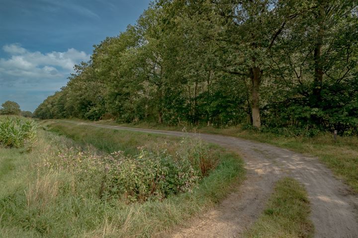 Bekijk foto 9 van Boschoordweg 22