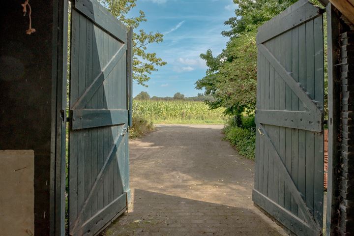 Bekijk foto 50 van Boschoordweg 22