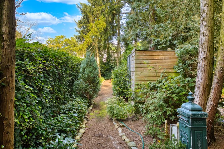 Foto 34 van Agricolastraat 32