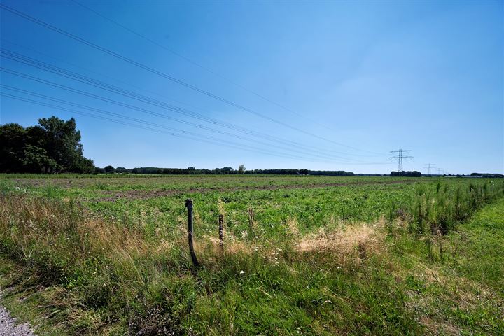 Bekijk foto 5 van Hazenkampweg - grond