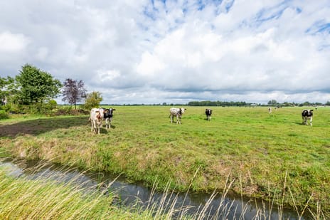 Tienhovenseweg 13 tertiary image