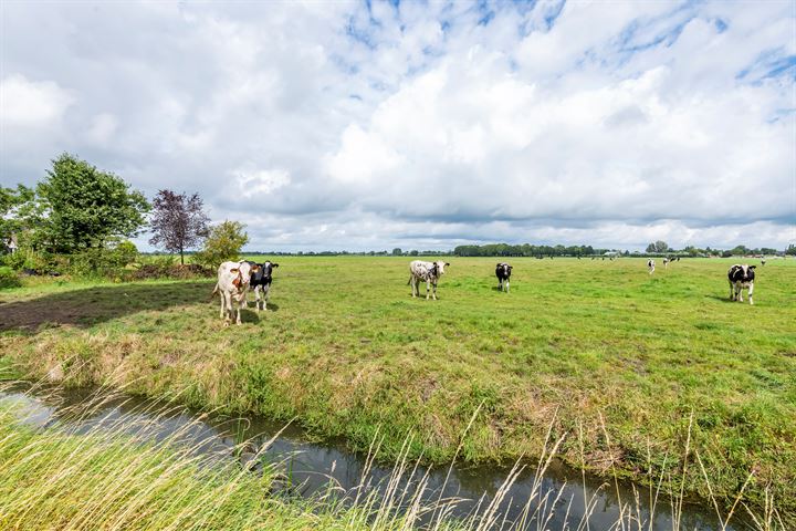 View photo 3 of Tienhovenseweg 13