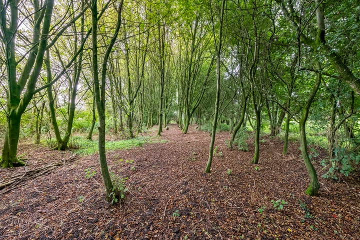 Foto 18 van Tienhovenseweg 13