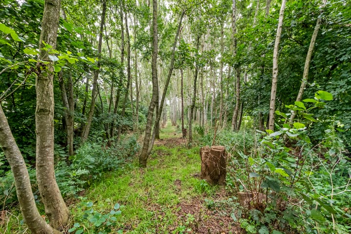 Foto 19 van Tienhovenseweg 13