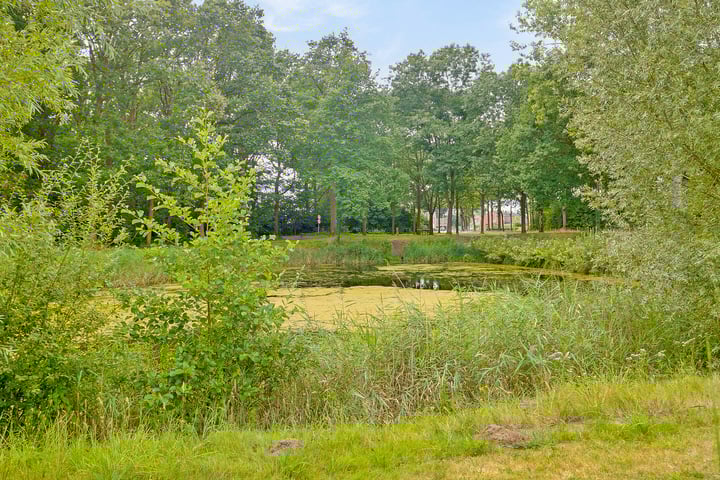 Foto 31 van Poorterslaan 46