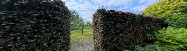 Bekijk 360° foto van Tuin van Willem van Gentsvaart 40