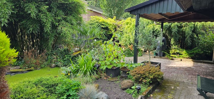 Foto 16 van Heereweg 31