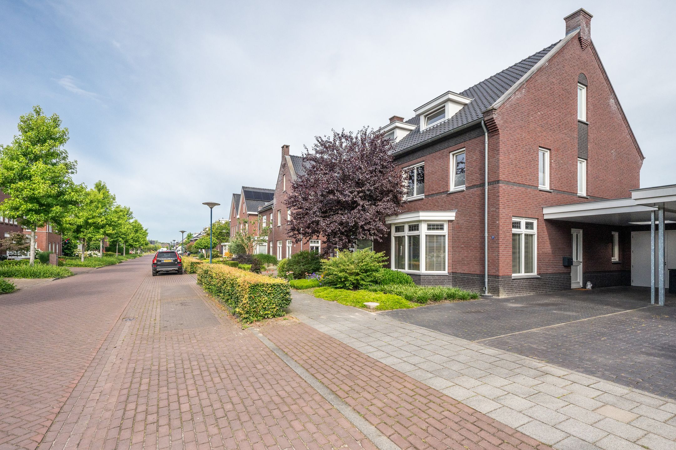 Foto 9 van Veenmos 27