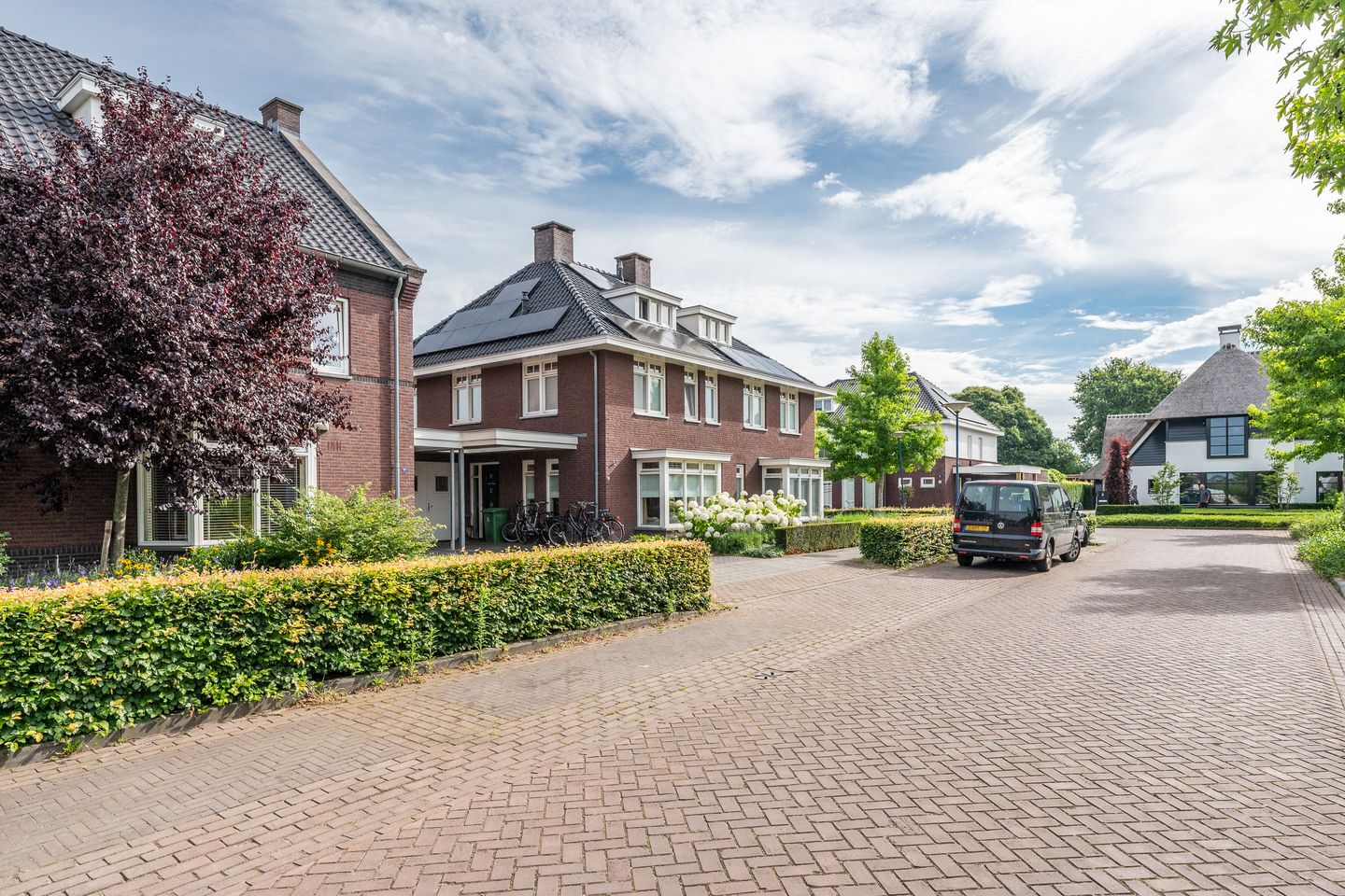 Foto 10 van Veenmos 27