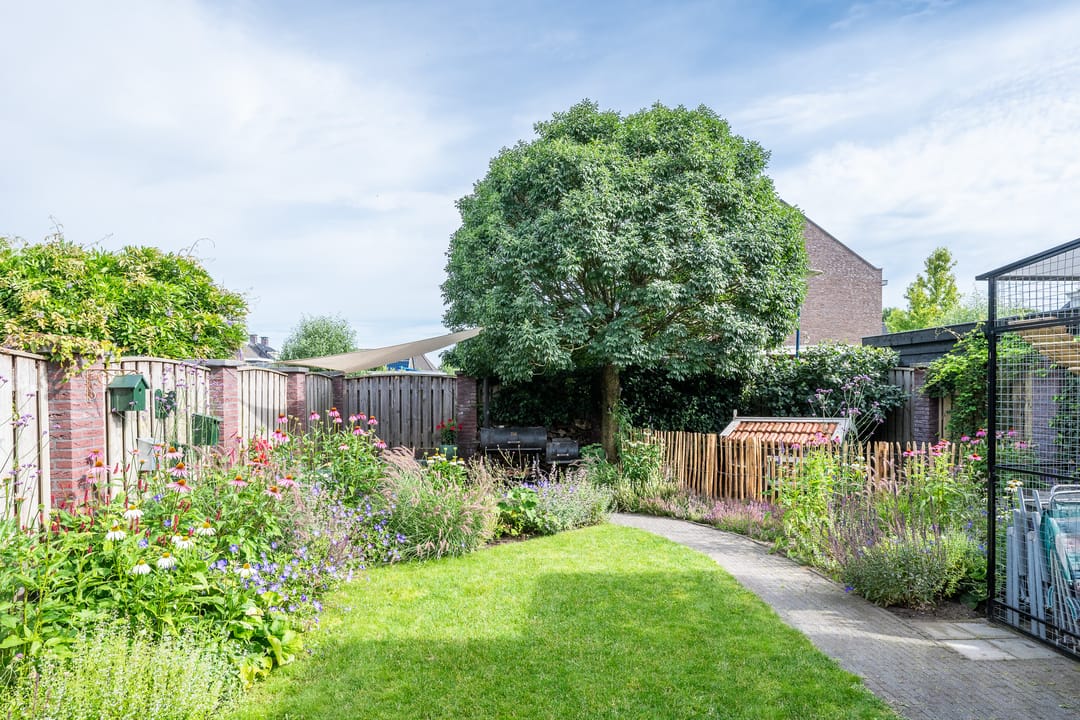 Foto 46 van Veenmos 27