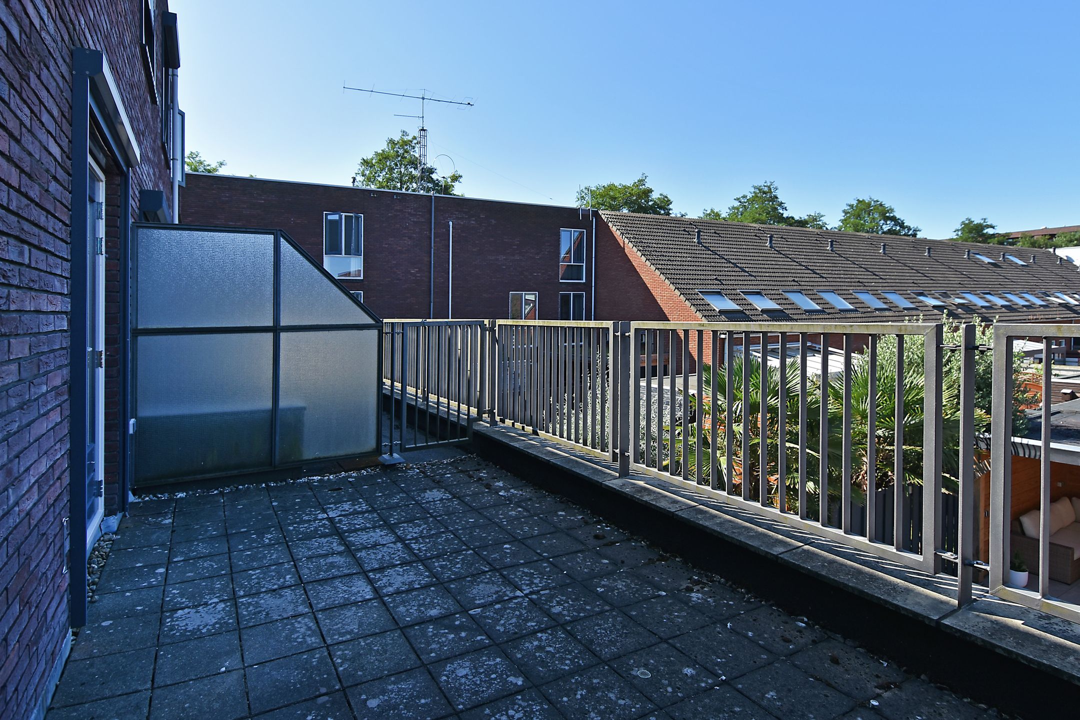 Photo 27 of Mexicosingel 21