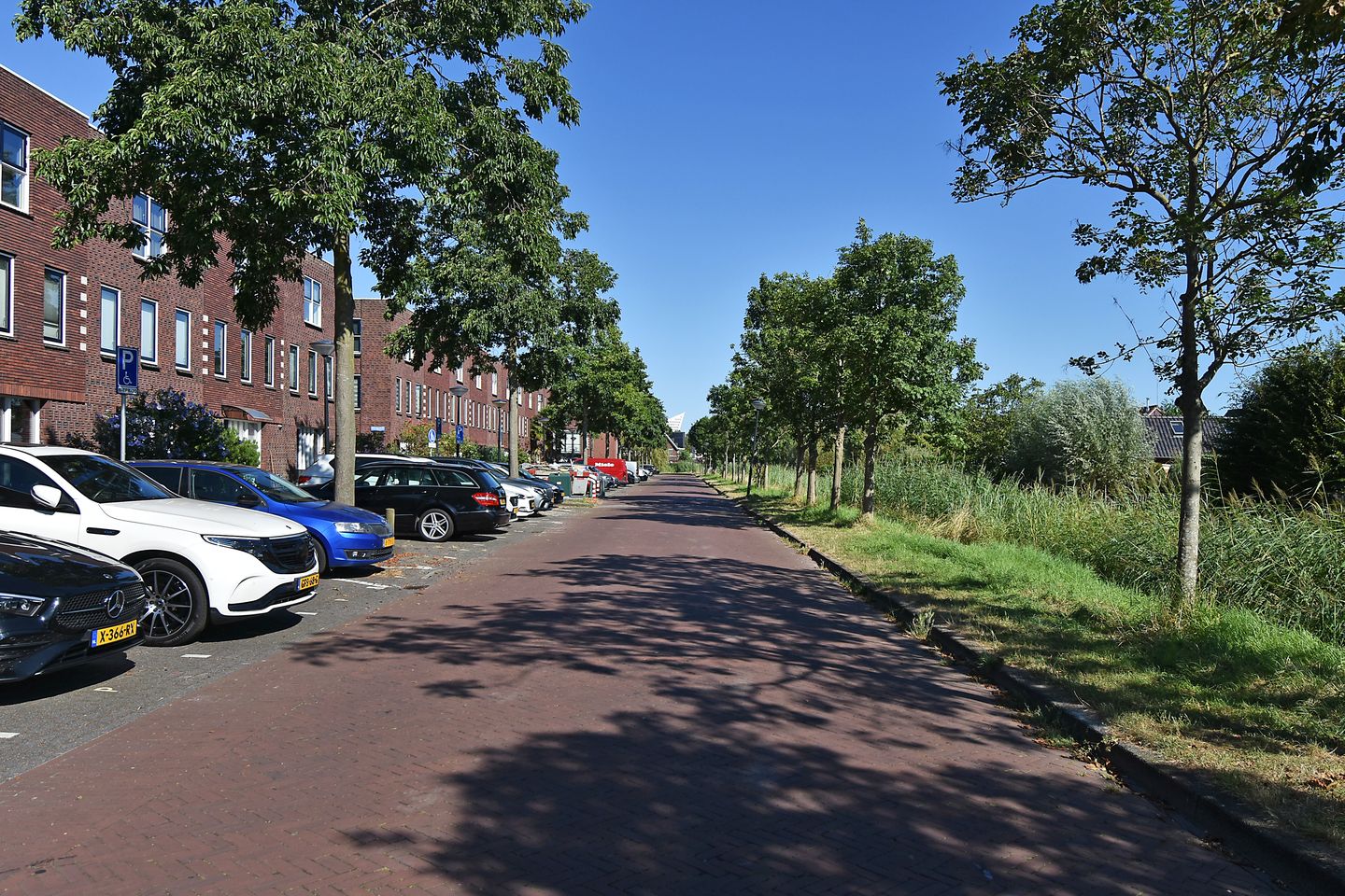 Photo 44 of Mexicosingel 21