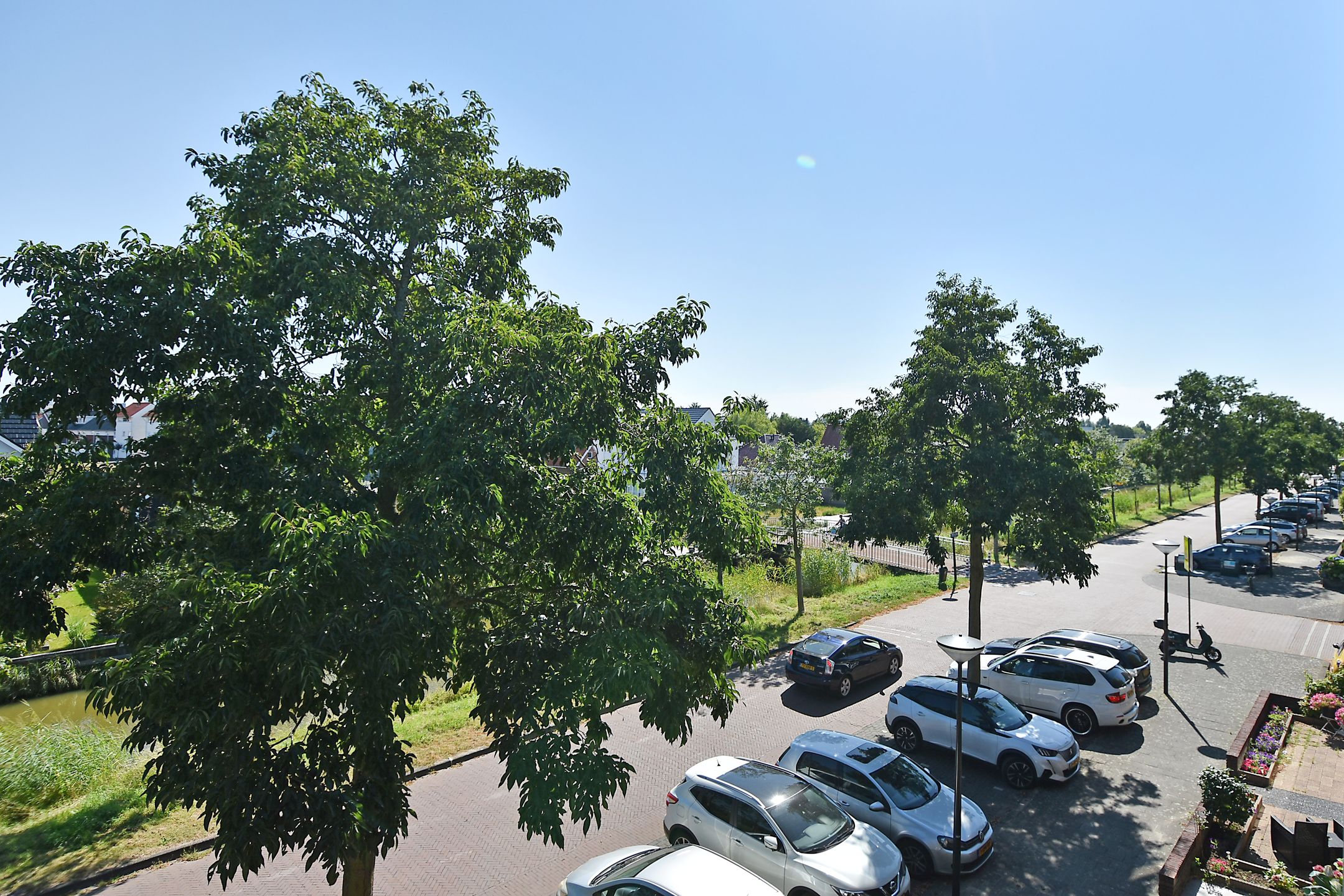 Photo 45 of Mexicosingel 21