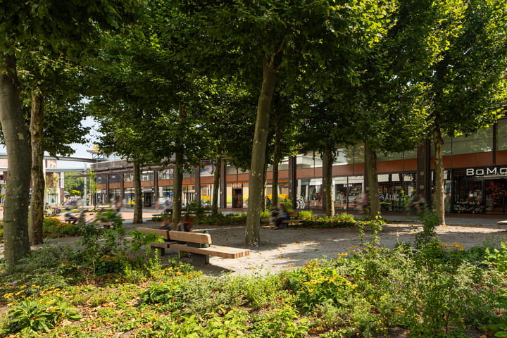 Foto 43 van Scheidingstraat 45