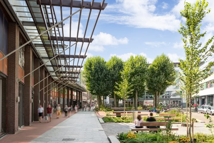 Foto 45 van Scheidingstraat 45