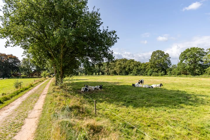 Foto 36 van Binnenwei 24