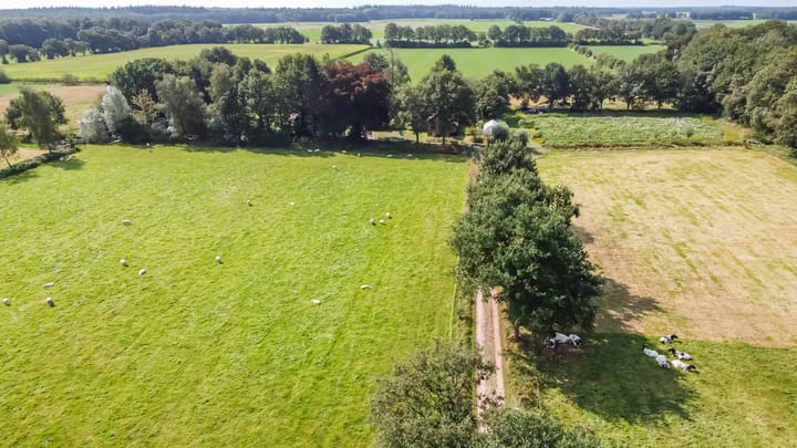 Foto 69 van Binnenwei 24