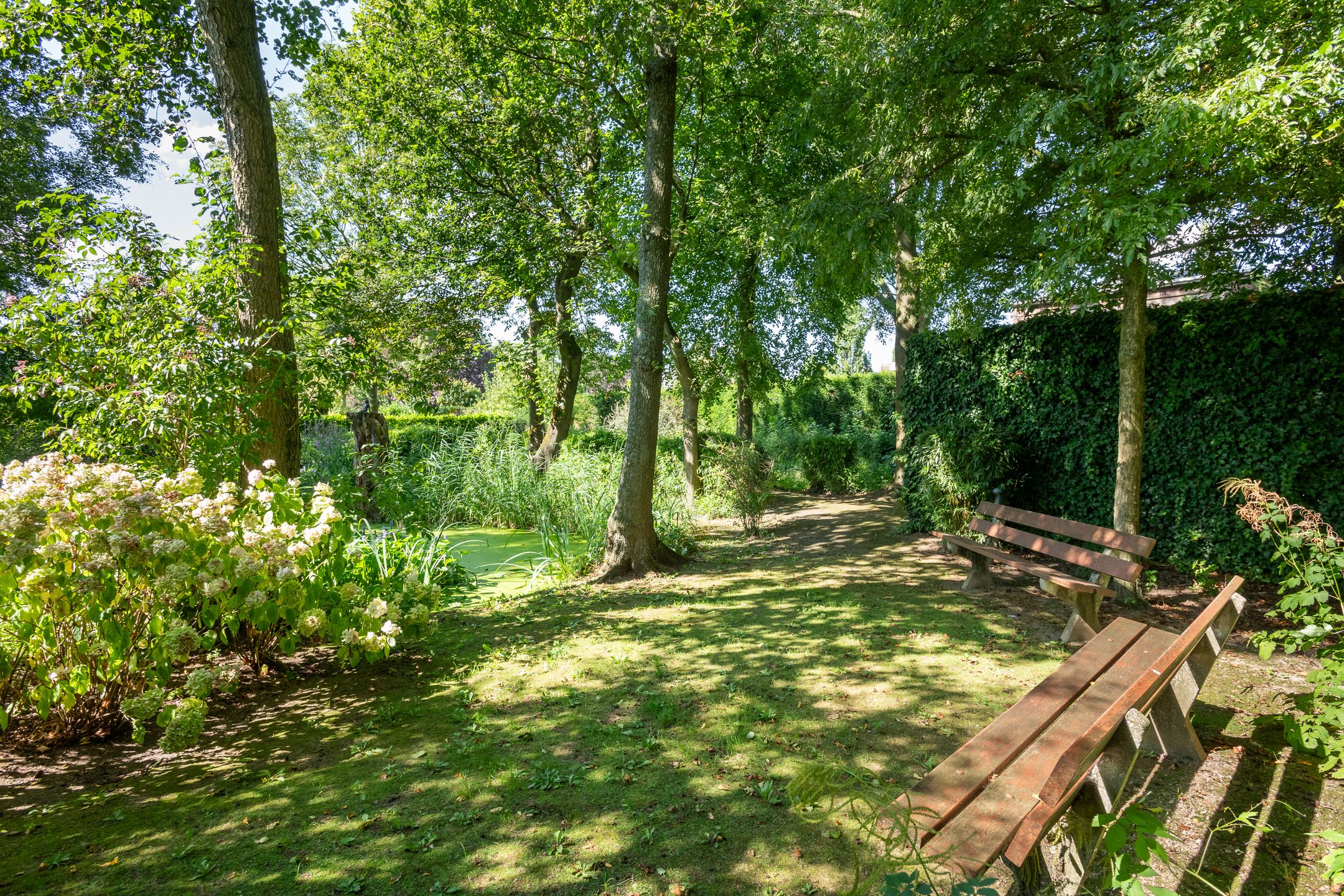 Photo 63 of Molenweg 23