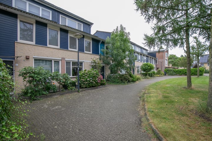 Foto 1 van Vijfvingerkruid 3