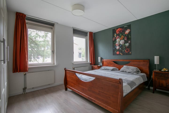 Foto 13 van Vijfvingerkruid 3