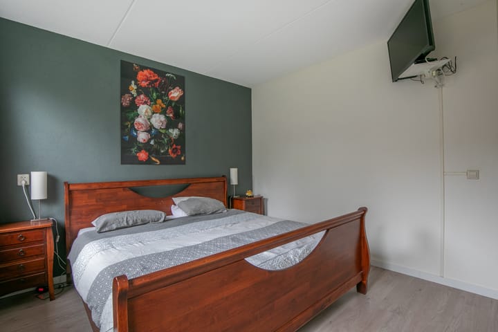 Foto 14 van Vijfvingerkruid 3