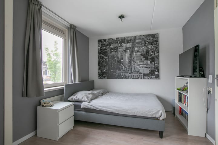 Foto 20 van Vijfvingerkruid 3