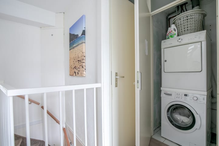 Foto 21 van Vijfvingerkruid 3