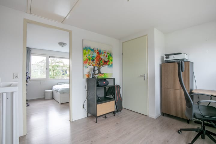 Foto 23 van Vijfvingerkruid 3