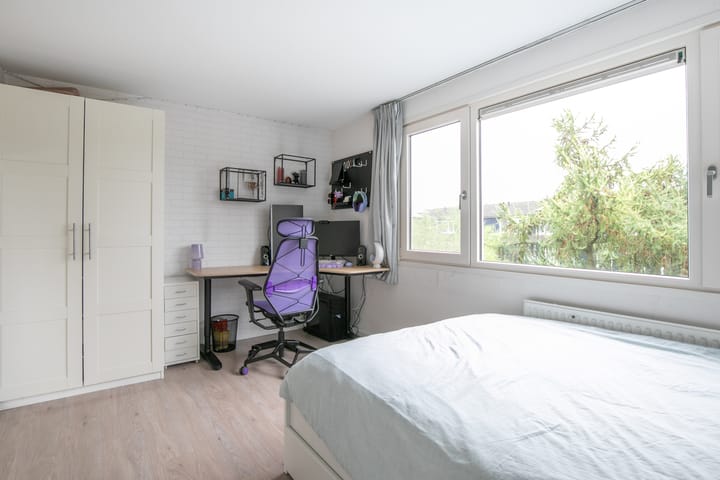 Foto 25 van Vijfvingerkruid 3