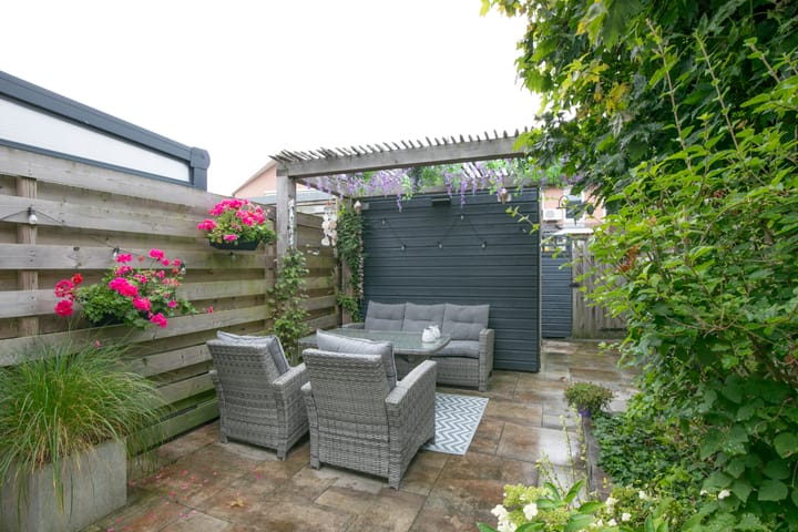 Foto 27 van Vijfvingerkruid 3