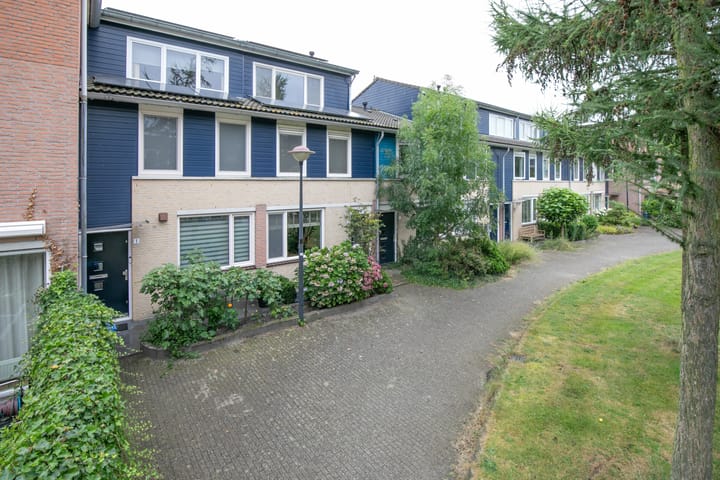 Foto 31 van Vijfvingerkruid 3