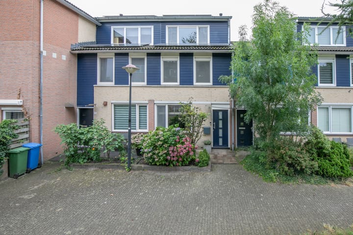 Foto 32 van Vijfvingerkruid 3