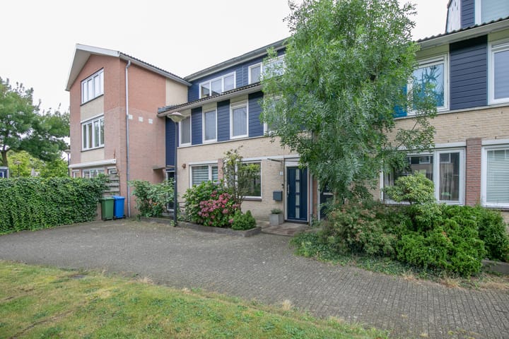 Foto 33 van Vijfvingerkruid 3