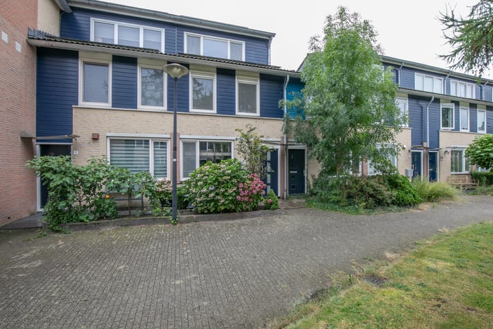 Foto 34 van Vijfvingerkruid 3