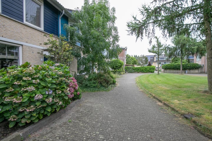 Foto 35 van Vijfvingerkruid 3