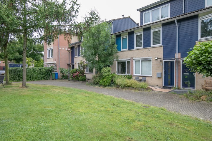 Foto 36 van Vijfvingerkruid 3