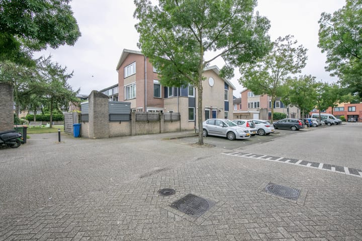 Foto 38 van Vijfvingerkruid 3